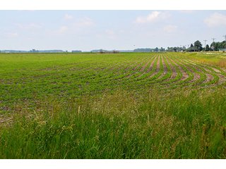 Property photo 116 - LAND AUCTION - 700+/- ACRES OFFERED IN 16 TRACTS IN ALLEN COUNTY, INDIANA